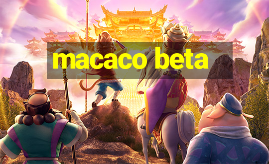 macaco beta