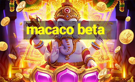 macaco beta