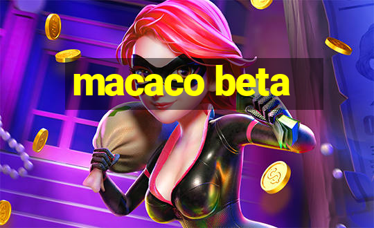 macaco beta