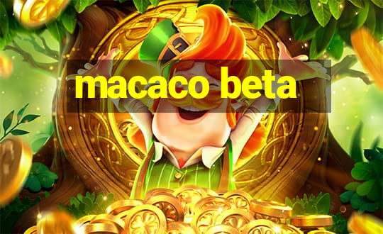 macaco beta