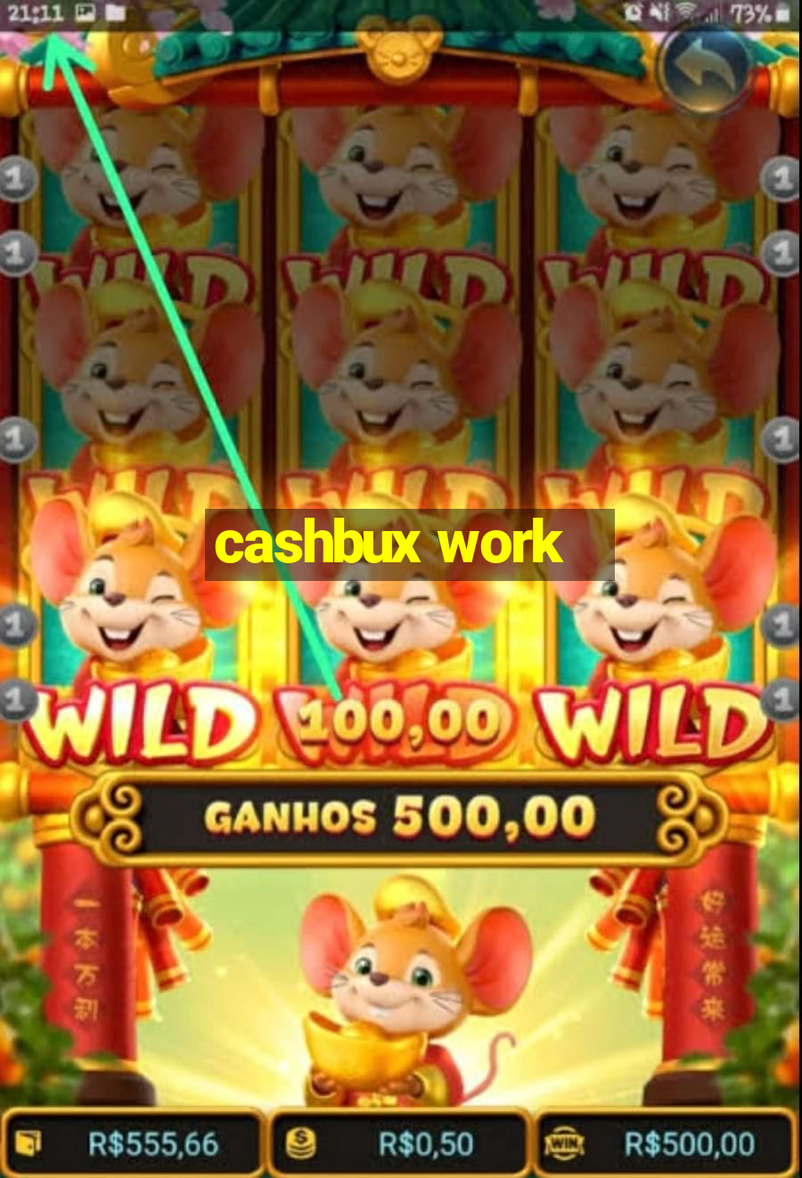 cashbux work