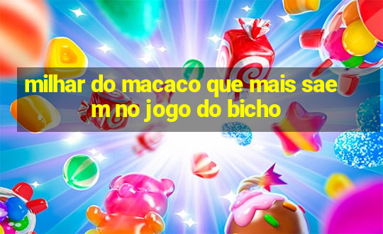 milhar do macaco que mais saem no jogo do bicho