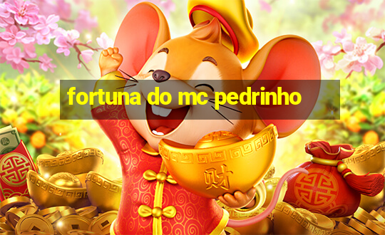 fortuna do mc pedrinho