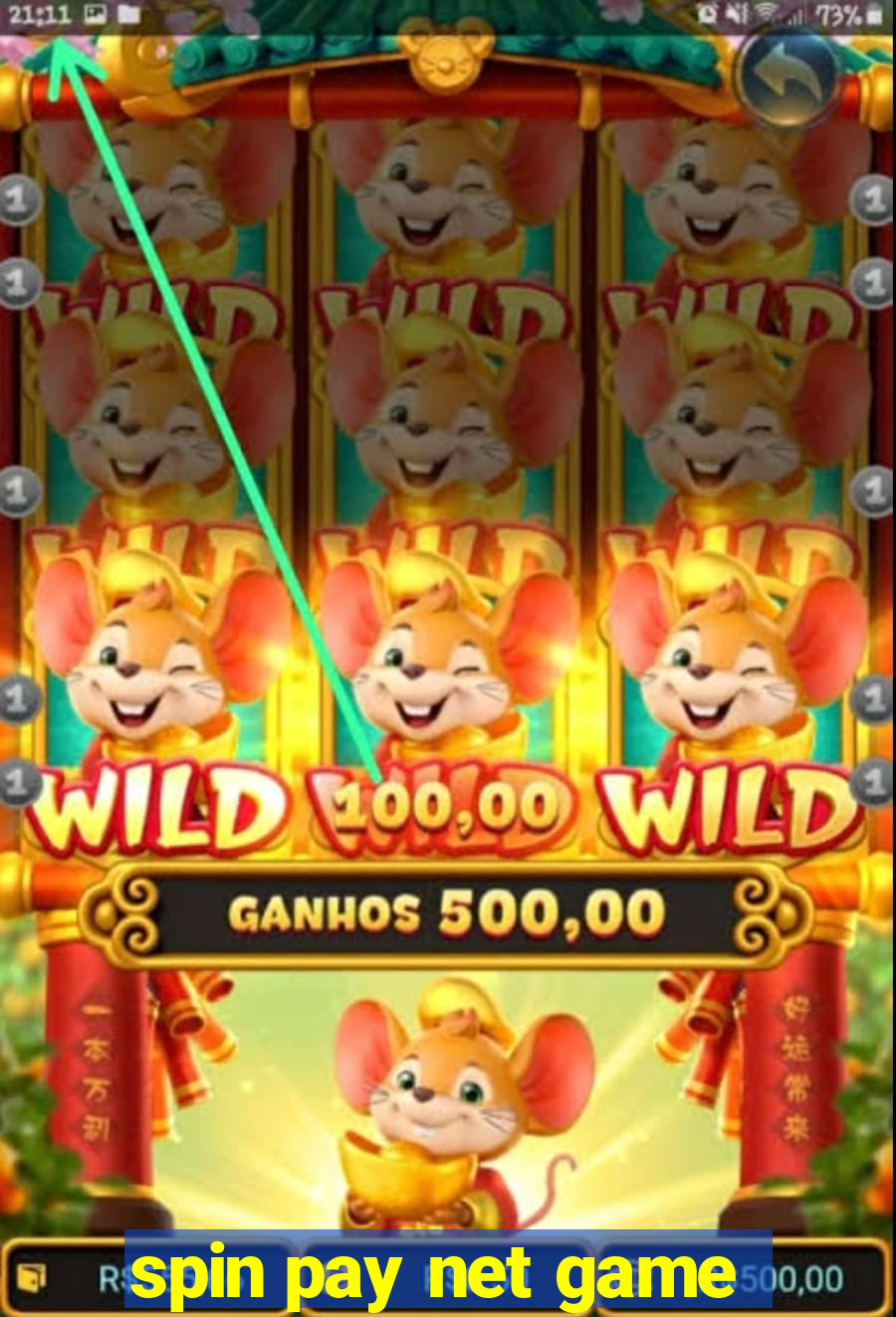 spin pay net game