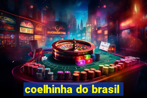 coelhinha do brasil