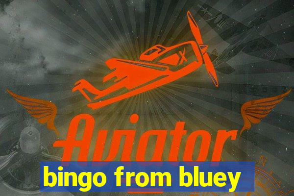 bingo from bluey