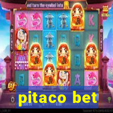 pitaco bet