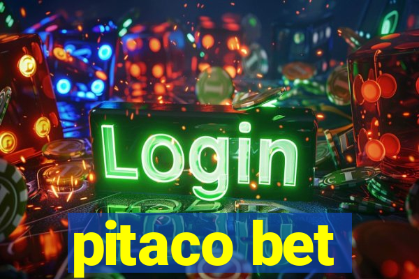 pitaco bet