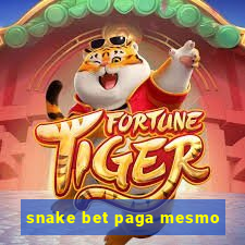 snake bet paga mesmo