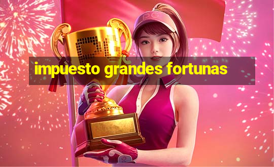 impuesto grandes fortunas