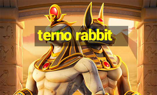 terno rabbit