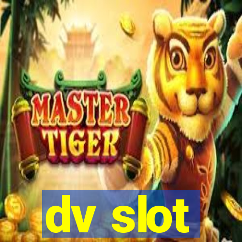 dv slot