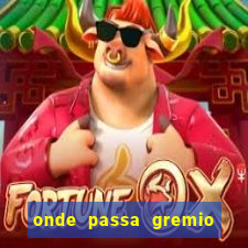 onde passa gremio x operario