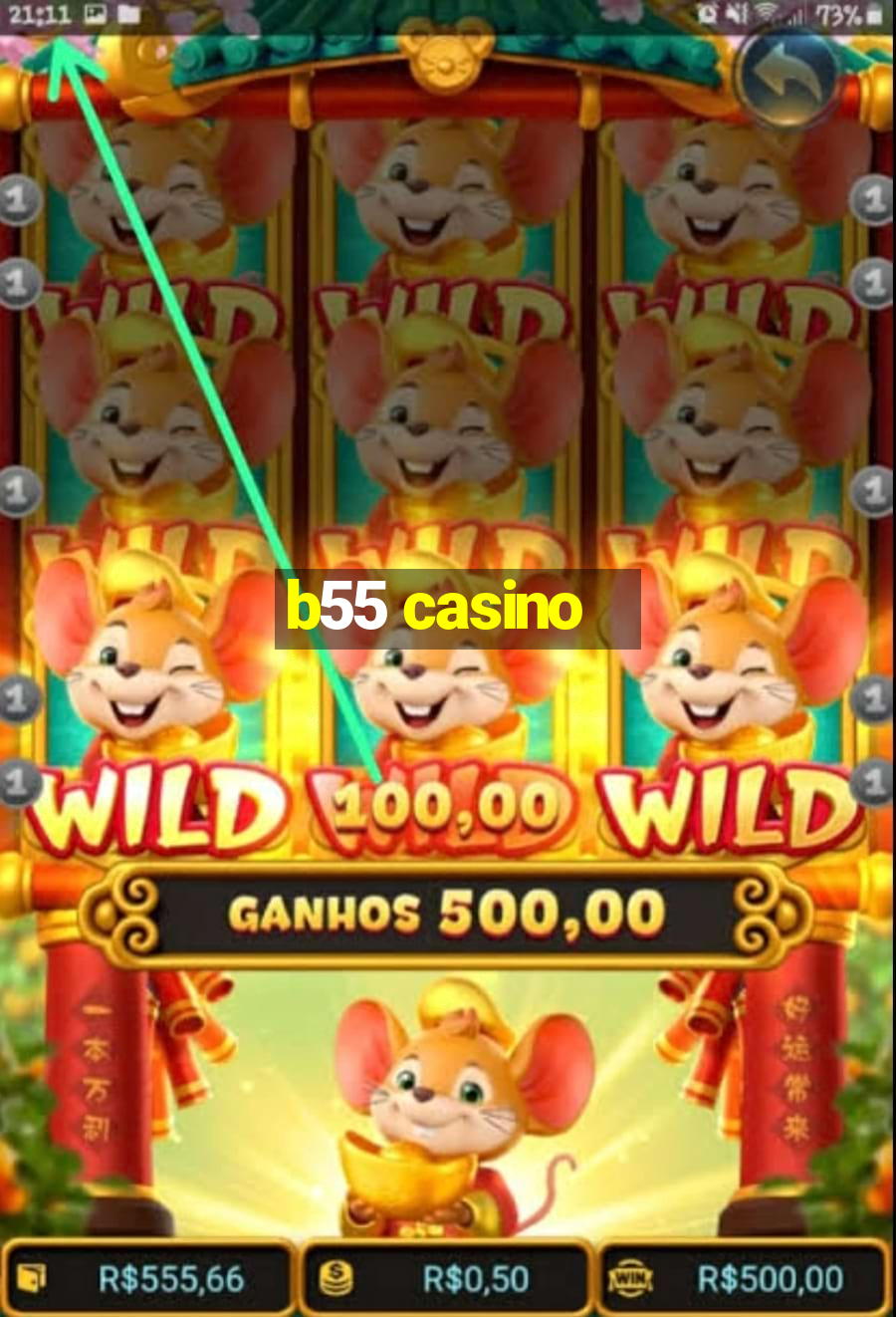 b55 casino