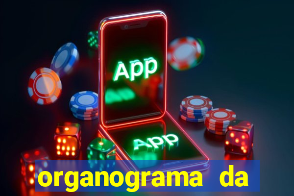 organograma da cacau show