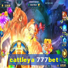 cattleya 777bet