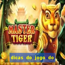 dicas do jogo do tigre para ganhar dinheiro