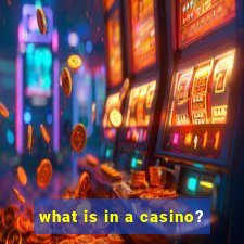 what is in a casino?