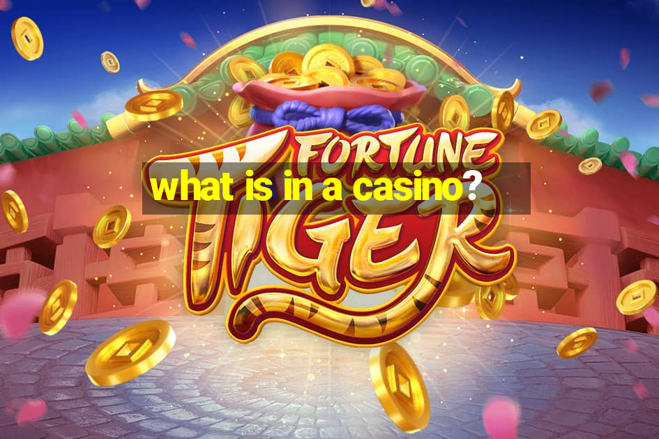 what is in a casino?