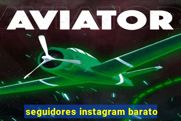 seguidores instagram barato