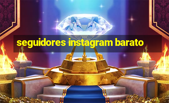 seguidores instagram barato