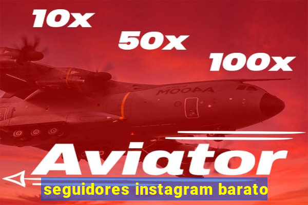 seguidores instagram barato