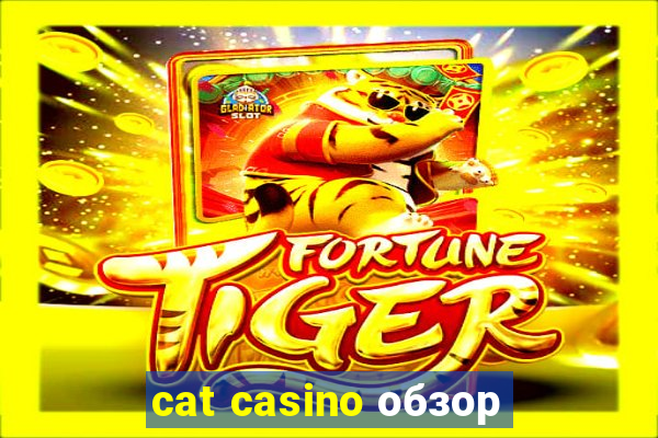 cat casino обзор