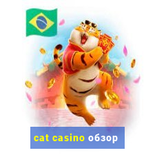 cat casino обзор