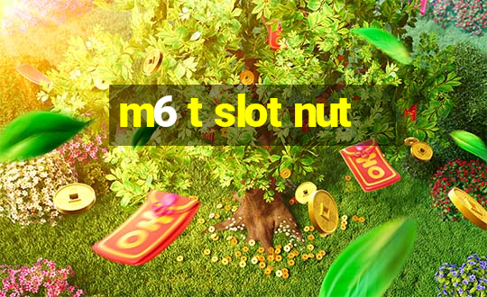 m6 t slot nut