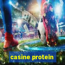 casine protein