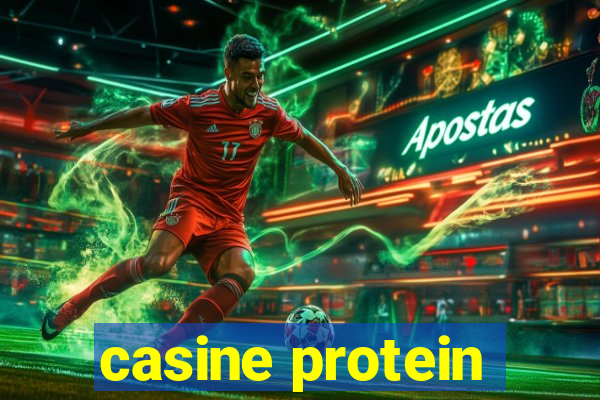 casine protein