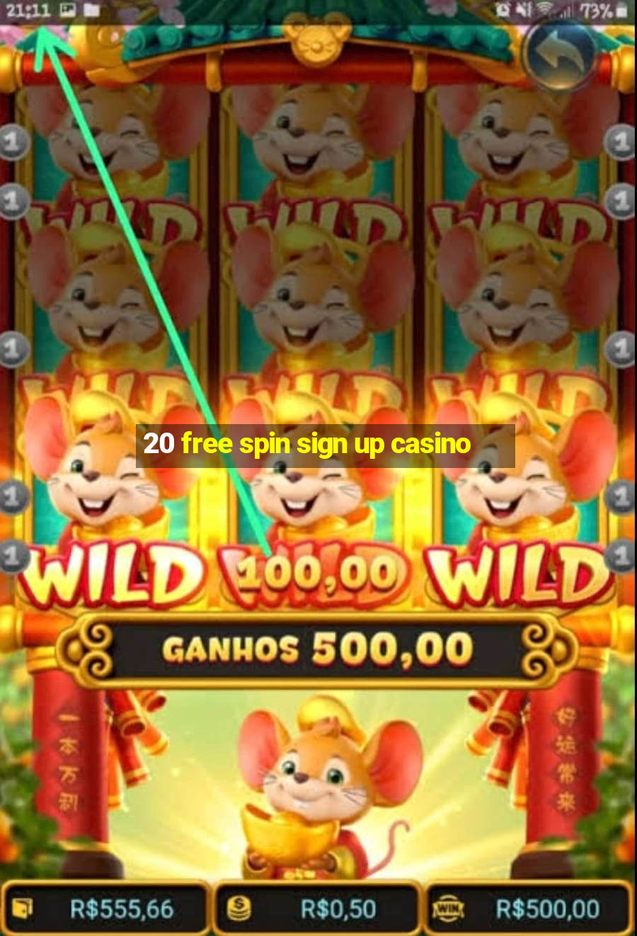 20 free spin sign up casino