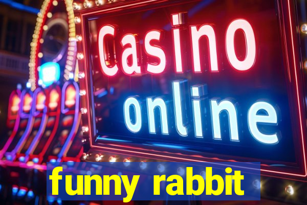 funny rabbit