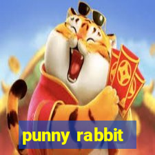 punny rabbit