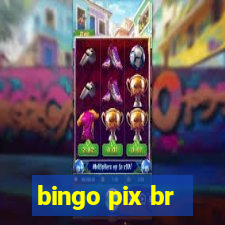 bingo pix br