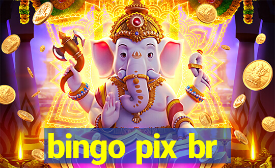 bingo pix br