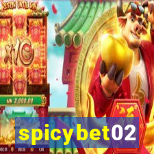 spicybet02