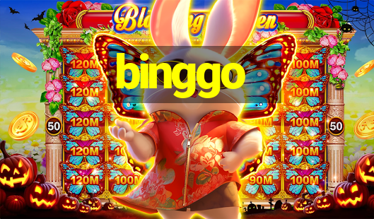 binggo