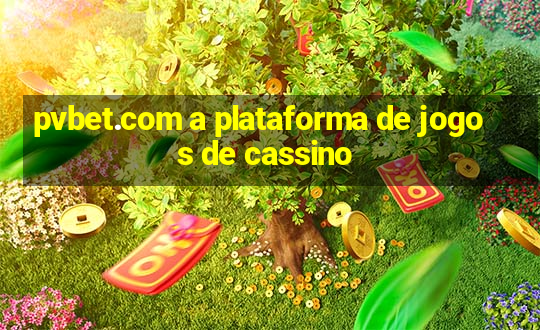 pvbet.com a plataforma de jogos de cassino