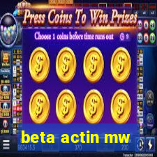 beta actin mw