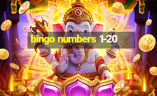 bingo numbers 1-20