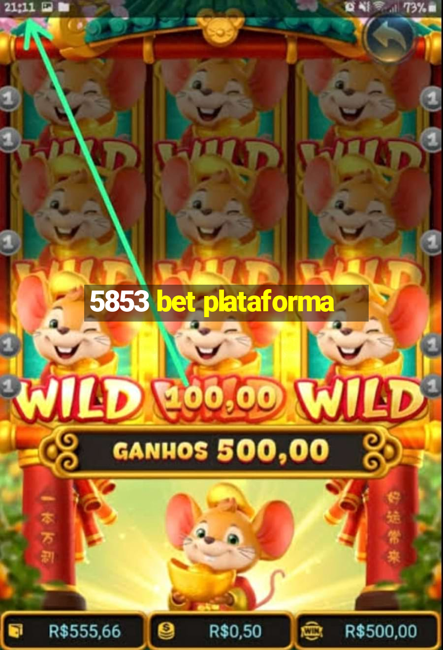 5853 bet plataforma