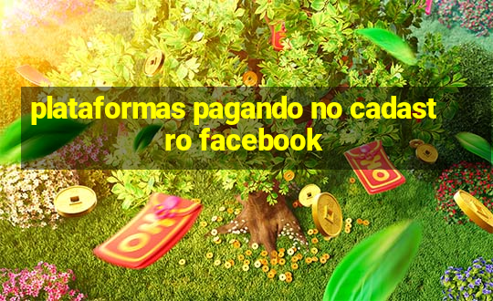 plataformas pagando no cadastro facebook