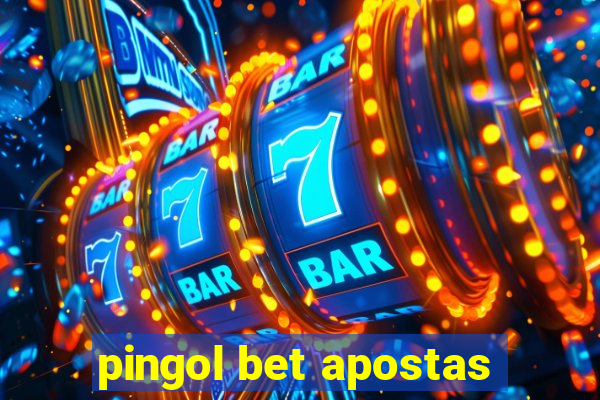 pingol bet apostas