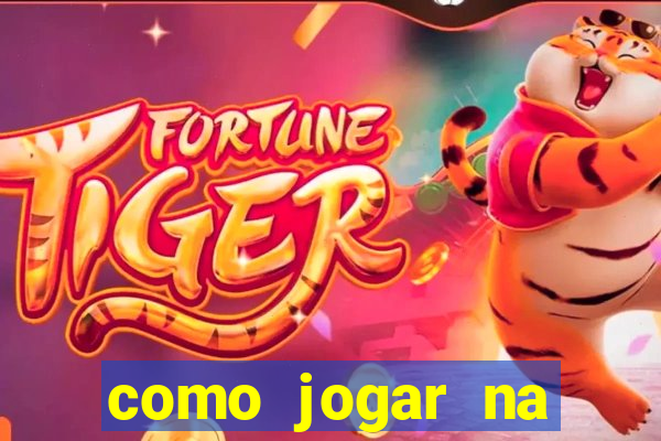 como jogar na loteria gringa online