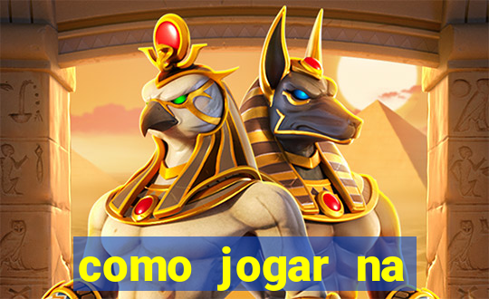 como jogar na loteria gringa online