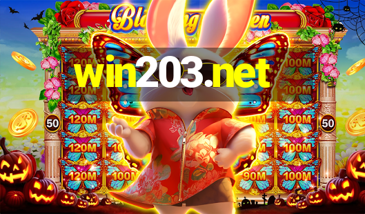 win203.net