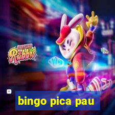 bingo pica pau