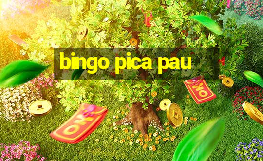 bingo pica pau