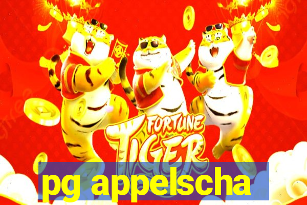 pg appelscha